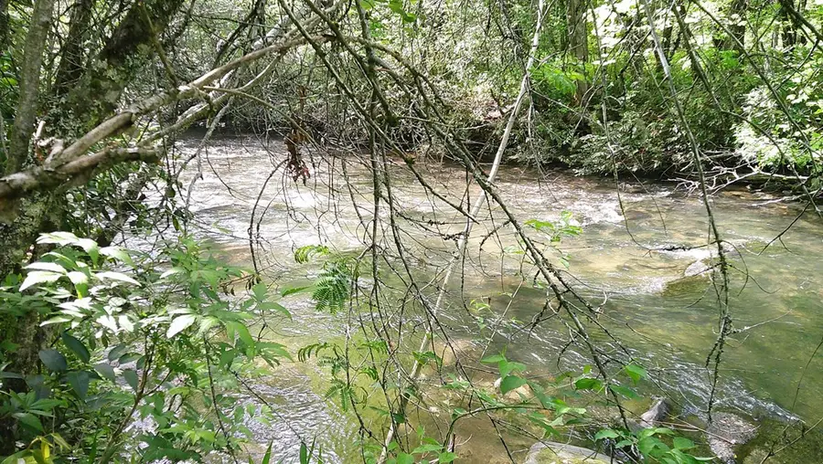 Lot 9 Mcdonald Road, Murphy, NC 28906 - #2