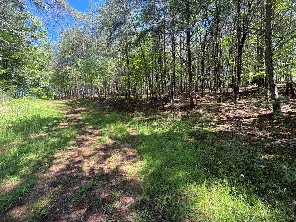Lot 25 Brittany Lane, Murphy, NC 28906 - #1