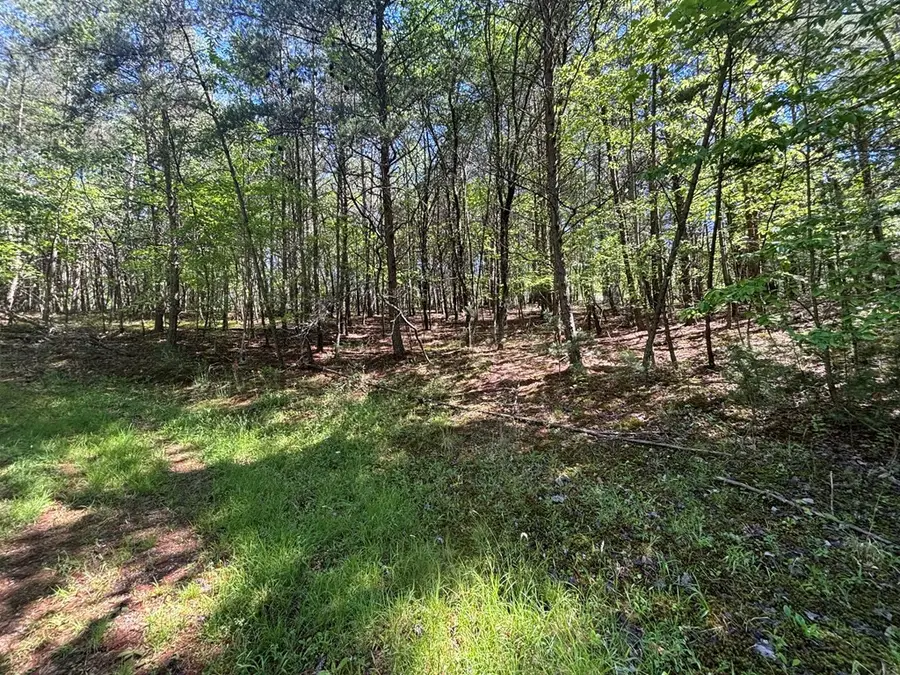 Lot 25 Brittany Lane, Murphy, NC 28906 - #2