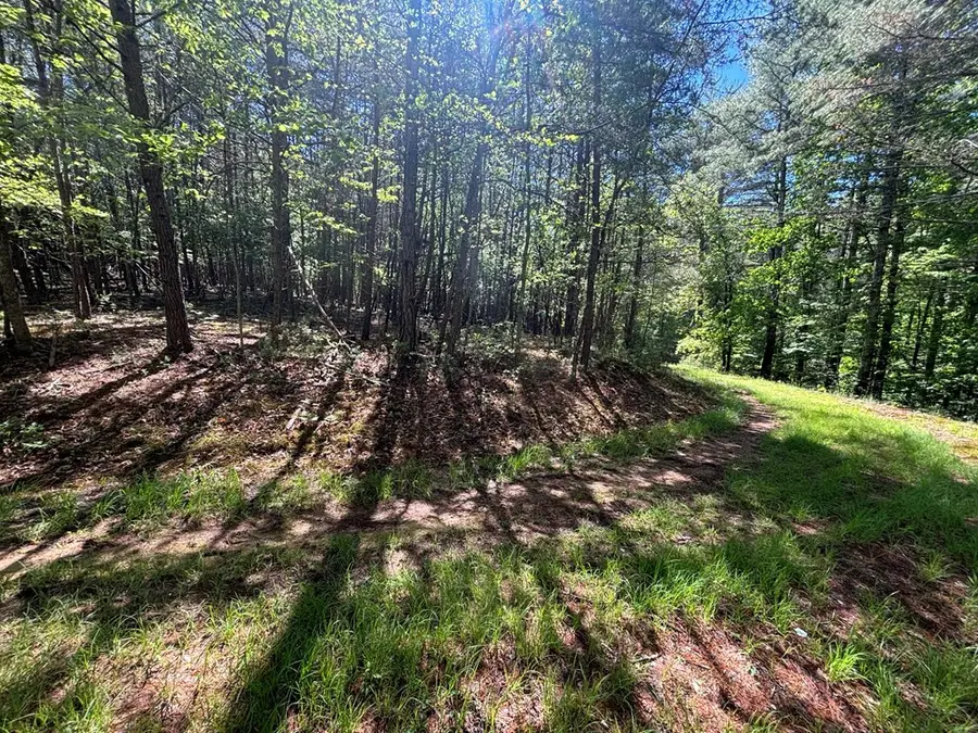 Lot 25 Brittany Lane, Murphy, NC 28906 - #3
