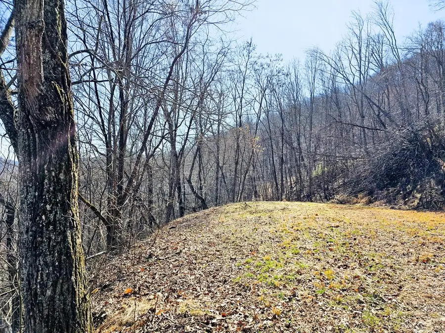 Lot 39 Merlin Trl / Warbler Road, Murphy, NC 28906 - #2