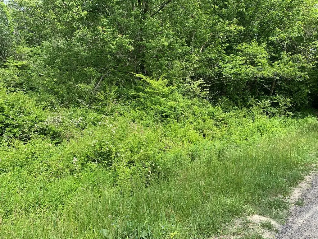17.76 Ac Greasy Creek Road, Murphy, NC 28906 - #1