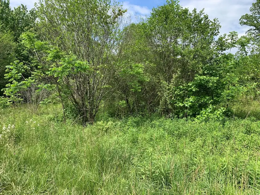 17.76 Ac Greasy Creek Road, Murphy, NC 28906 - #3