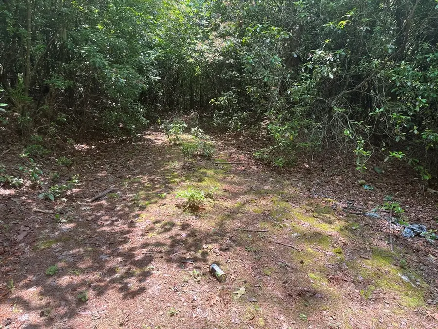 289 Paradise, Murphy, NC 28906 - #3