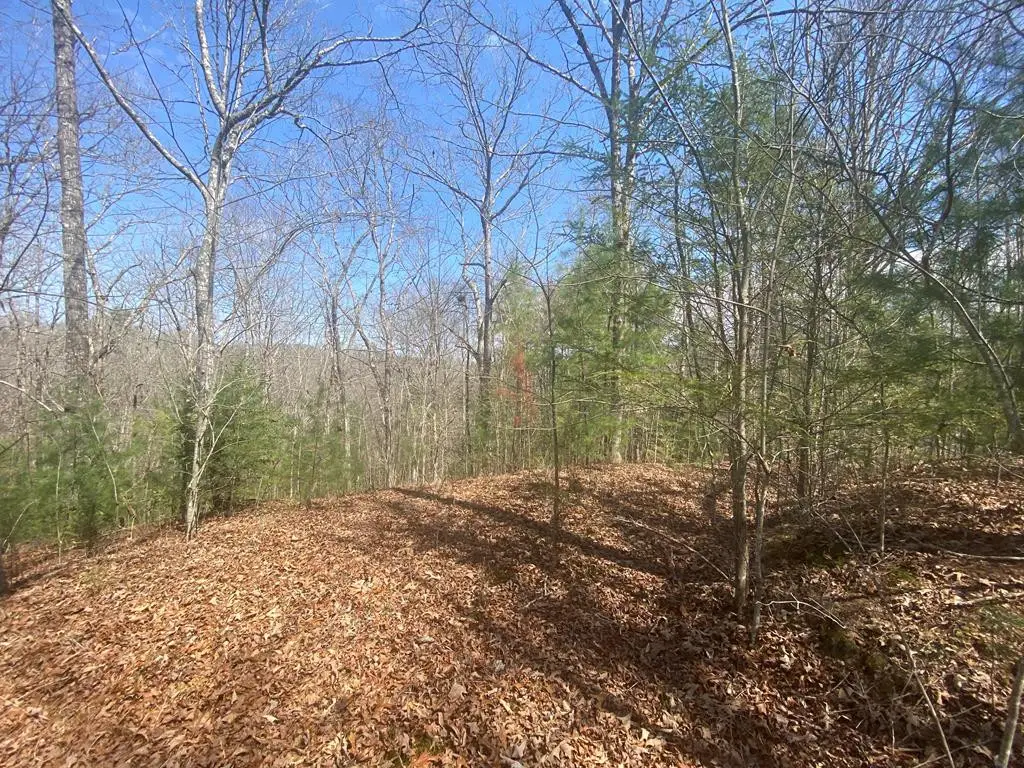 0 Hilltop Road, Murphy, NC 28906 - #1