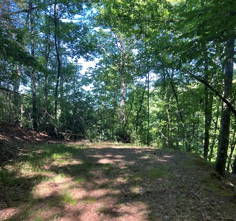 Lot 38 River Ridge, Murphy, NC 28906 - #2