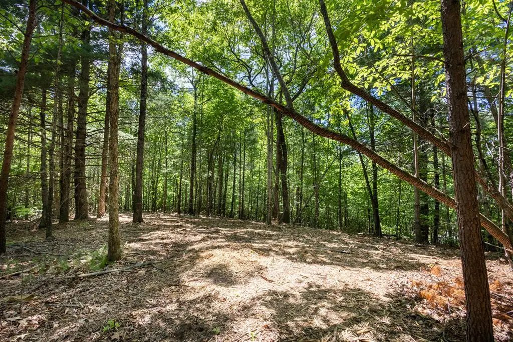 4.0 acre Donley Road, Murphy, NC 28906 - #1
