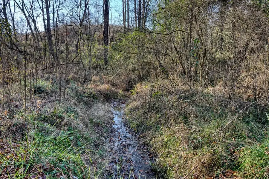 408 Smith Road, Brasstown, NC 28902 - #3
