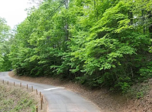 Lot 15 Dogwood Trail, Robbinsville, NC 28771 - #1