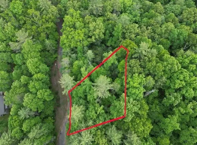Lot 13 Dogwood Trail, Robbinsville, NC 28771 - #1