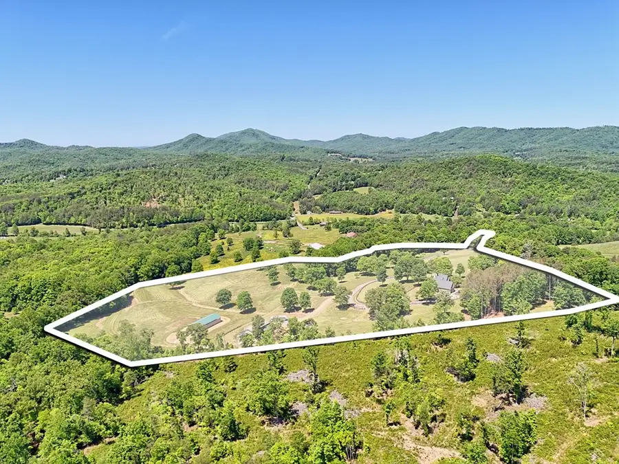 1193 Pine Log Road, Warne, NC 28909 - #2
