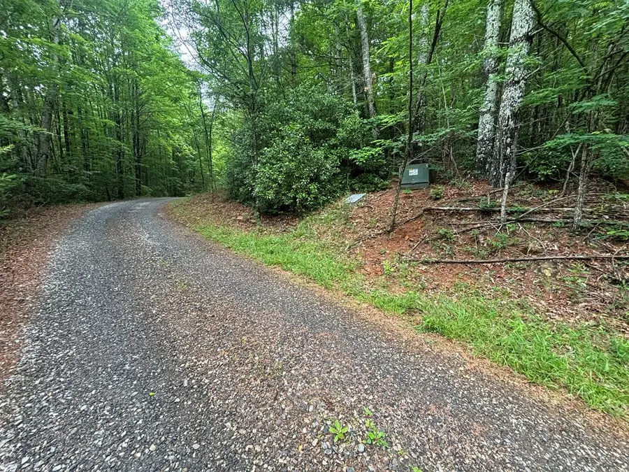 Lot 3 Horse Camp Drive, Hayesville, NC 28904 - #3