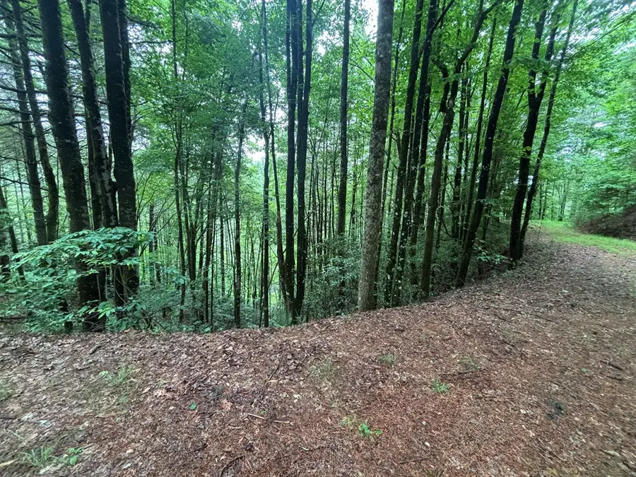 Lot 11 Horse Camp Drive, Hayesville, NC 28904 - #2