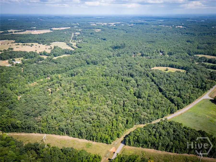 0 New Haven Church Road, Danielsville, GA 30633 - Image #3