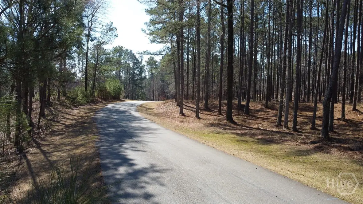 1041 Shadow Creek Way, Greensboro, GA 30642 - Image #1