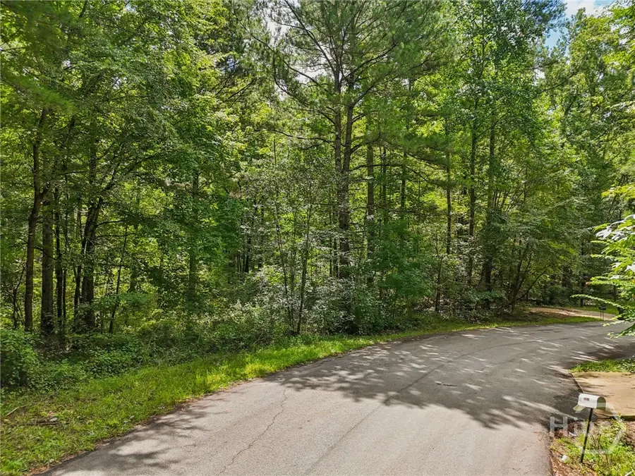 1040 Union Station Road, Greensboro, GA 30642 - #2