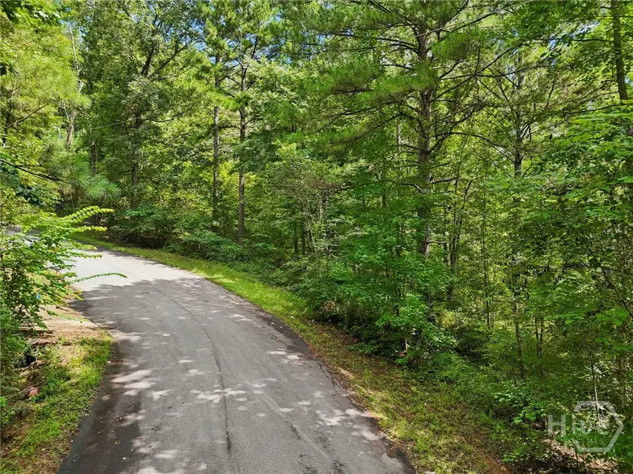 1040 Union Station Road, Greensboro, GA 30642 - #3