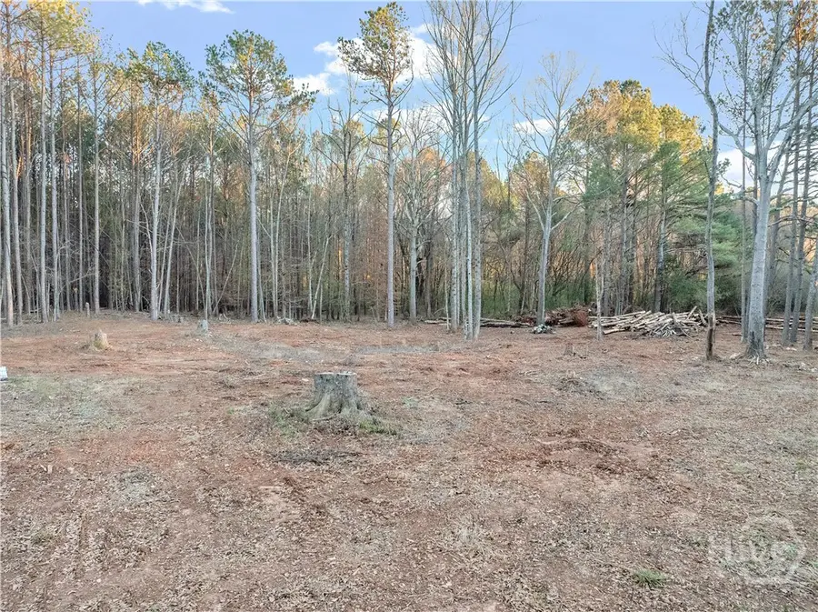Tract 4 Seven Islands Road, Madison, GA 30650 - Image #2