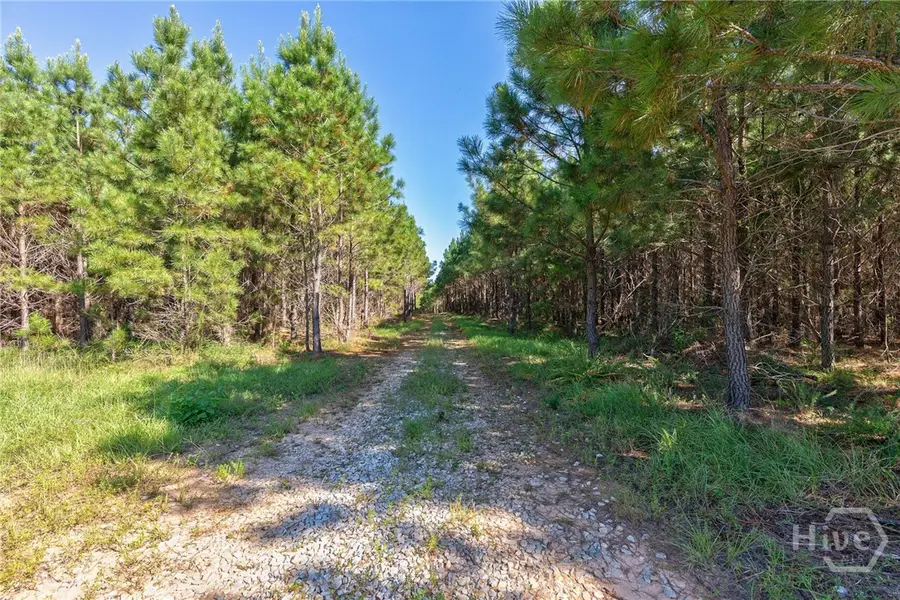 75 Bob Smith Road, Stephens, GA 30667 - Image #2