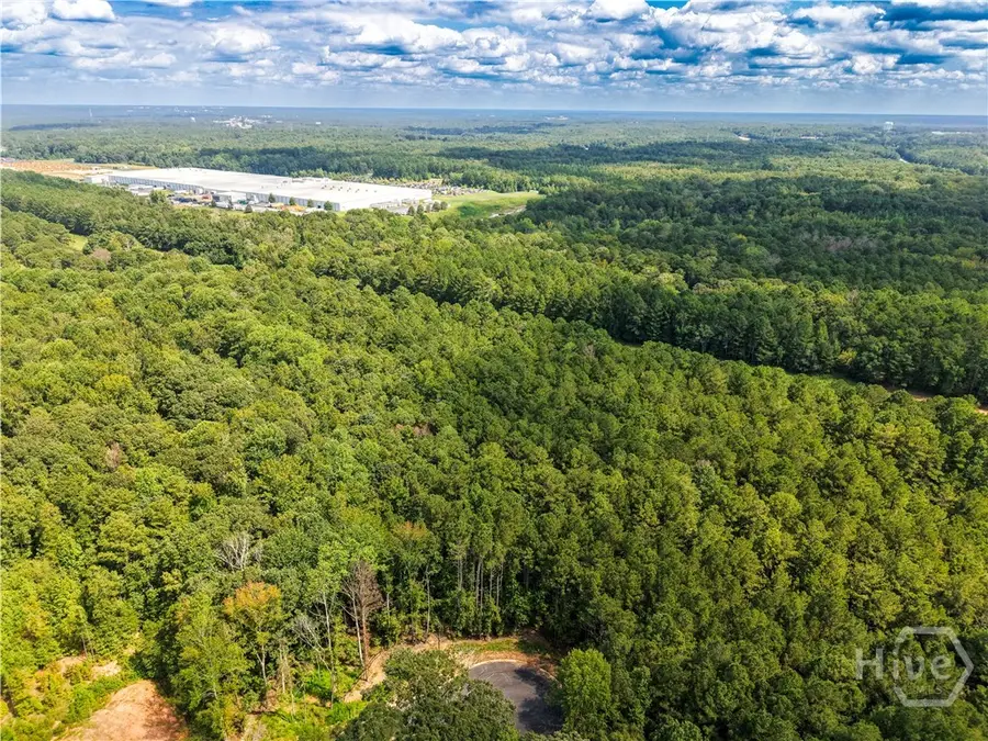 3377 Clayton Drive, Bogart, GA 30622 - Image #3