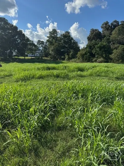 0 Rita Ridge #LOT 10, Jefferson, GA 30549 - Image #1