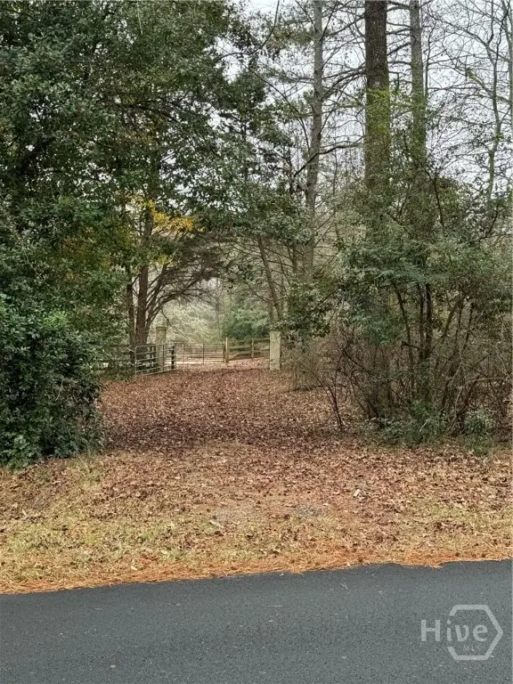 1040 Rossiter Ct, Watkinsville, GA 30677