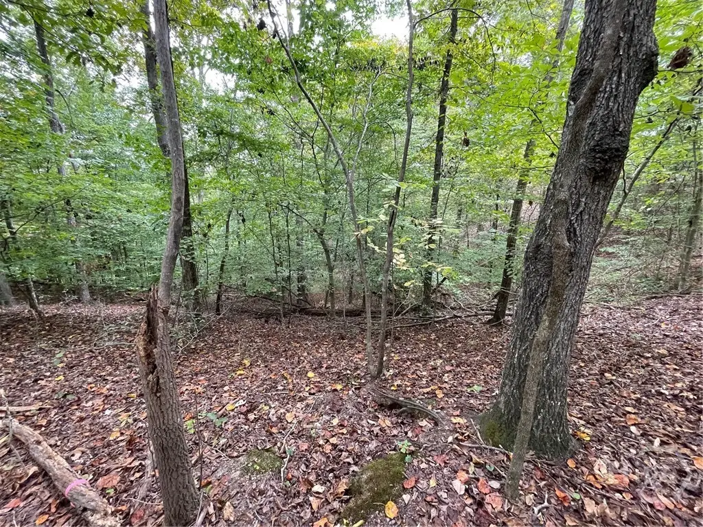 Lot 296 Oconee Avenue, Westminster, SC 29693 - #1