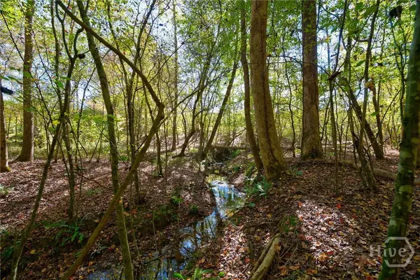 1 Bridges, Carlton, GA 30627