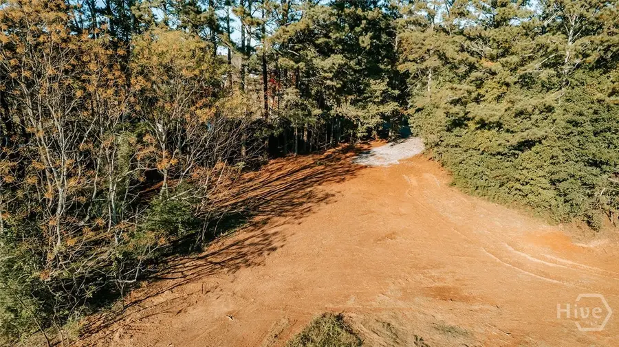Tract 6 Lakeview Dr, Winterville, GA 30683 - #2