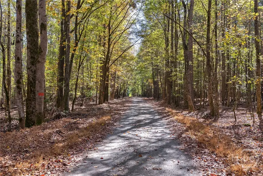 0 Wilson Lane, Arnoldsville, GA 30619 - #3