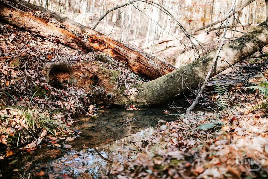 0 Greensboro Road, Crawfordville, GA 30631 - Image #2