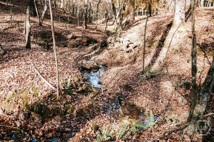 0 Greensboro Road, Crawfordville, GA 30631 - Image #3