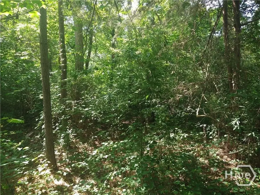 20 Waterwood Cove, Lavonia, GA 30553 - #3