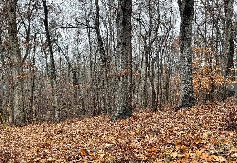 Lot 2134 S Arrowhead Drive, Westminster, SC 29693 - #2