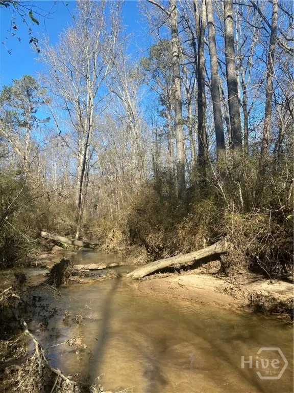 0 Kent Rock Road, Loganville, GA 30052 - #3