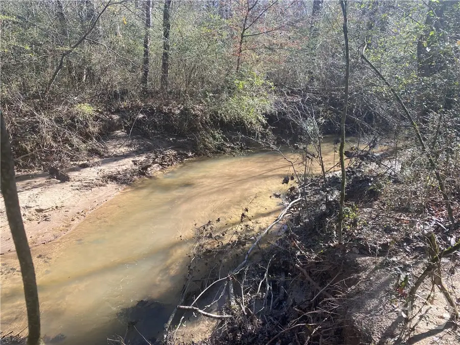 348 Kent Rock Road, Loganville, GA 30052 - #3