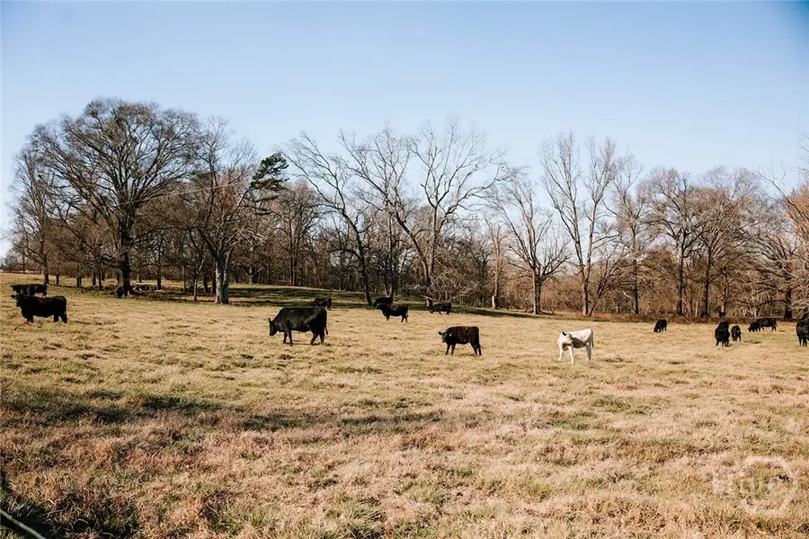 0 Crawfordville Road, Stephens, GA 30667 - Image #3