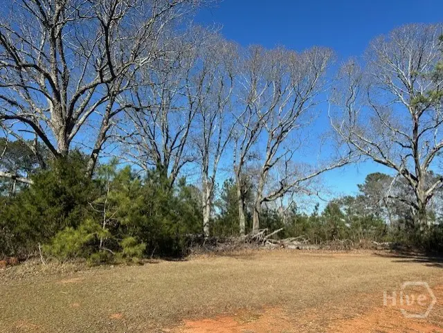 2351 Elder Ext Tract 3, Bishop, GA 30621 - Image #2