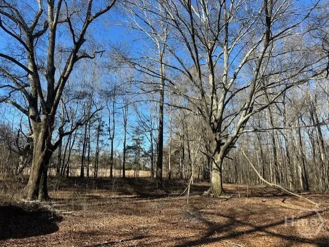 2644 Nunnally Shoals Tract 2 Road, Good Hope, GA 30641 - Image #3
