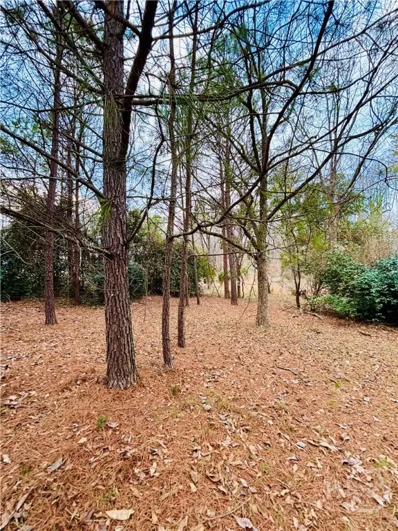 1111 Sunnyside Drive, Athens, GA 30606