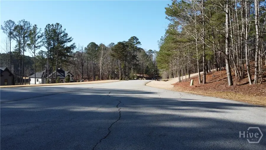 1060 Forrest Highlands, Greensboro, GA 30642 - #3