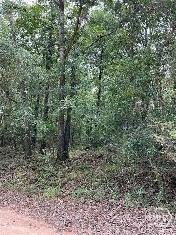 0 Lake Deerfield Rd, Hull, GA 30646 - #3