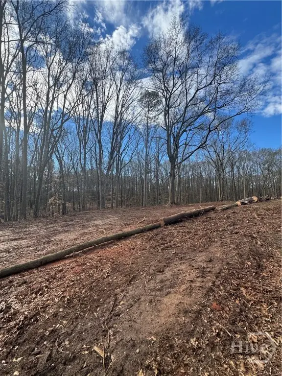 231 Roosevelt Circle, Bowman, GA 30624 - #3