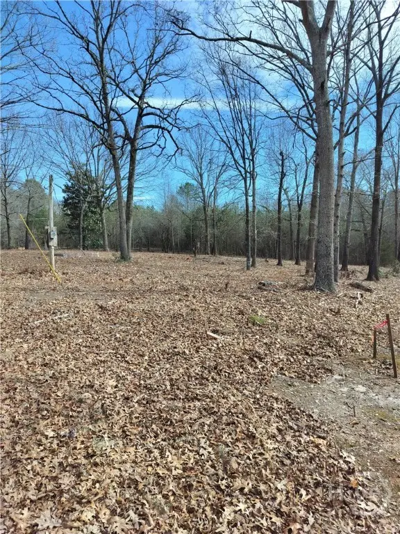 0 Hickory Log Circle, Eastanollee, GA 30538 - #2