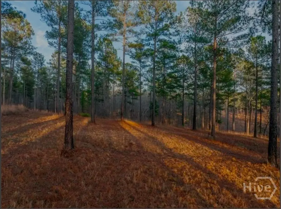 163 Overlook Drive, Eatonton, GA 31024 - #2