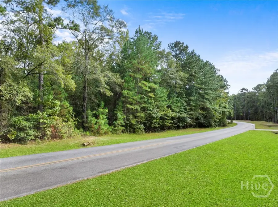 0 Plantation Pointe Drive, Statesboro, GA 30461 - #2