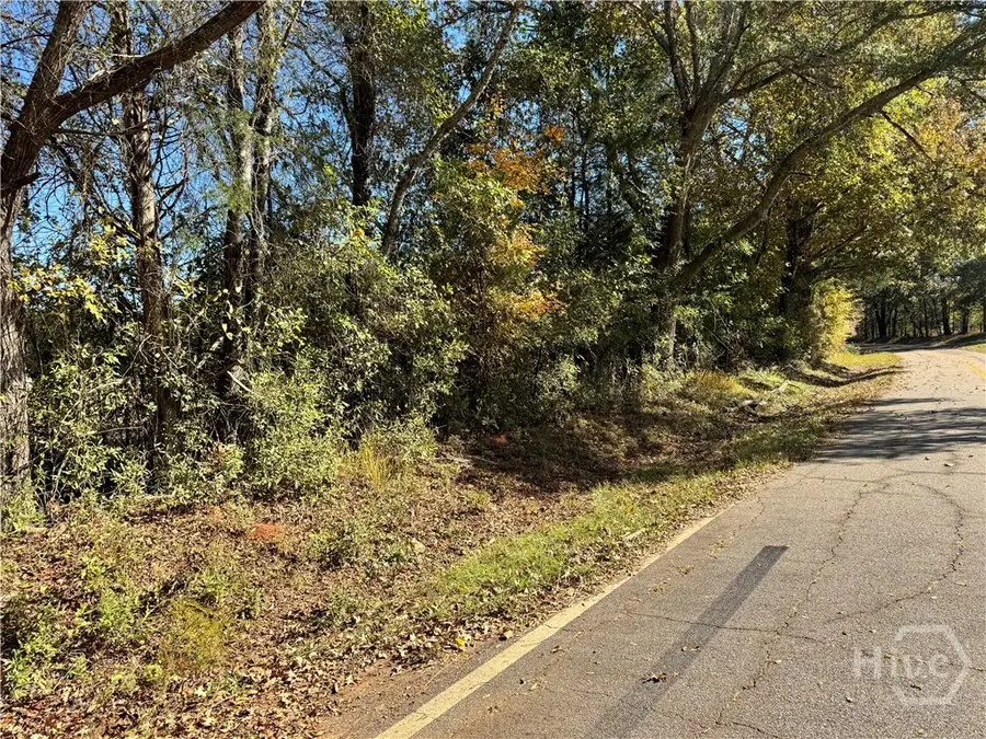0 Taylor Road #Tract 1&2, Lexington, GA 30648 - #3