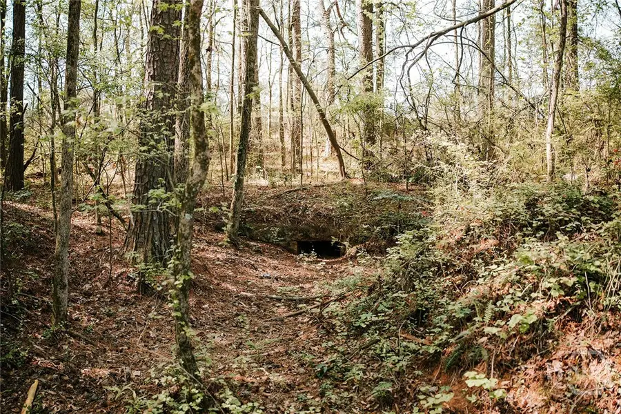 000 Union Point Road, Stephens, GA 30667 - #3