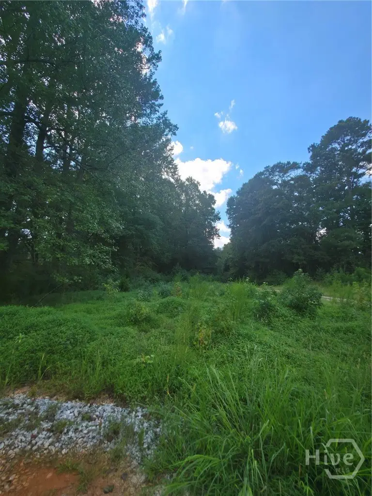 74 Charlotte Circle, Statham, GA 30666 - #1