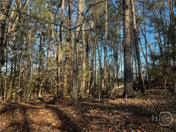 0 Alpine Way, Lavonia, GA 30553